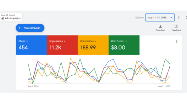 Google ads Performance Result